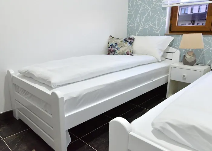 Hills Zeus Apartment Zlatibor